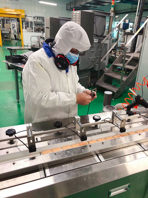 客戶(hù)案例 廣東東莞巧克力食品生產(chǎn)工廠 oee tpm