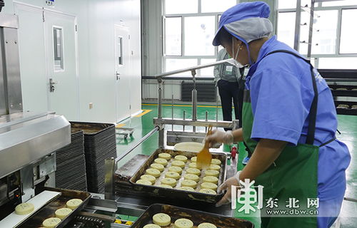直播黑土地 哈爾濱百威 食品安全行 走進(jìn)加工廠