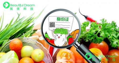 什么是智慧農(nóng)貿(mào)放心市場(chǎng)溯源系統(tǒng) 農(nóng)貿(mào)市場(chǎng)又該如何建立安全的食品追溯體系