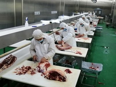 新時代的“庖丁 --新疆創(chuàng)錦福云食品牛肉分割掠影