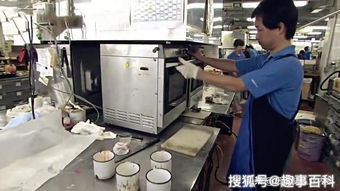 日本食品加工現(xiàn)場 老鼠躲進一家日本食品工廠,結(jié)果它餓死了,這是為什么