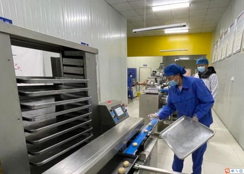 臨潼小金村煥發(fā)致富新活力